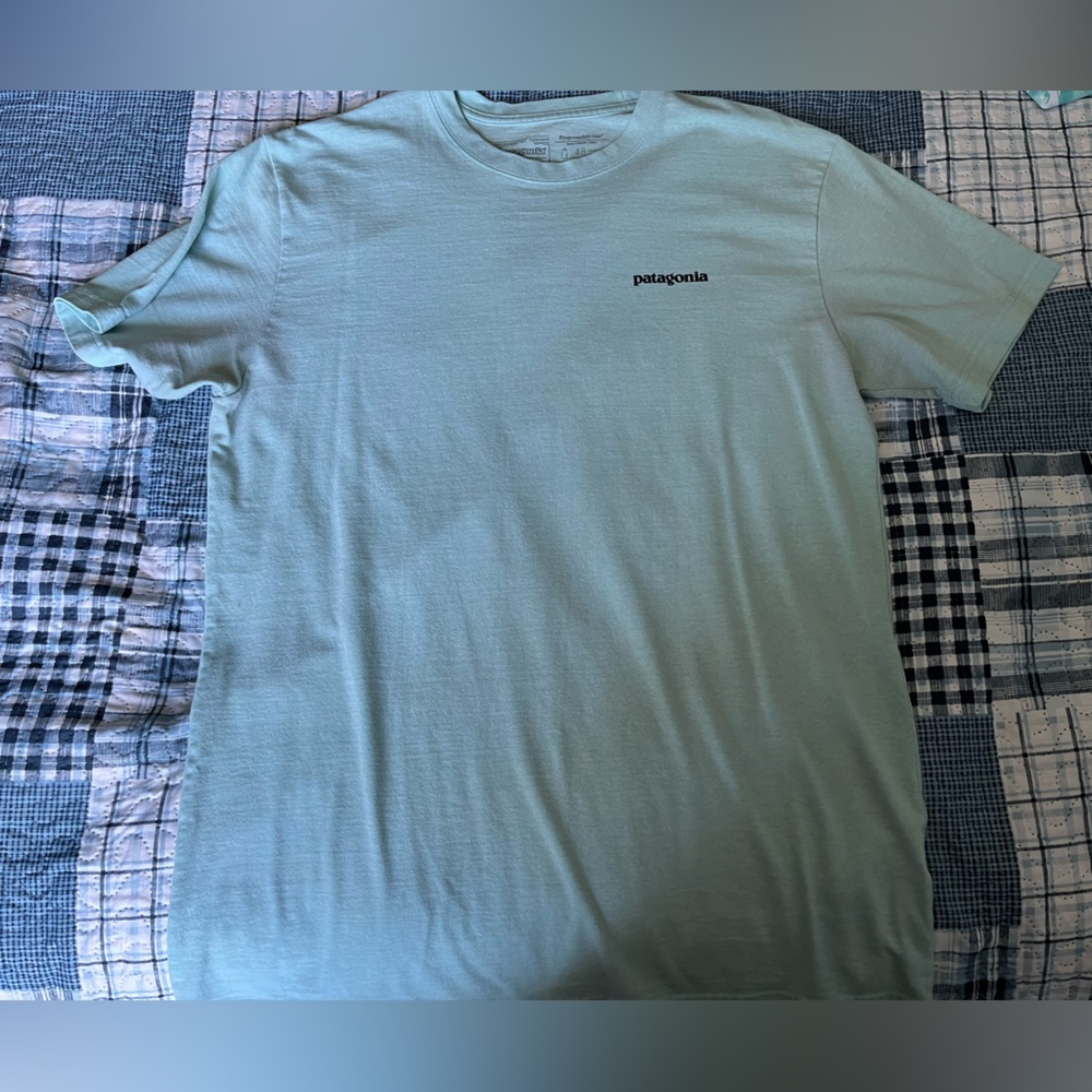 Patagonia Light Green Men's Shirt